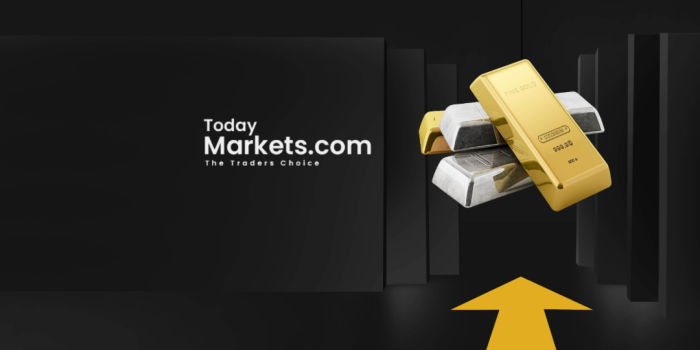 Untitled - 2024-02-28T164549.014