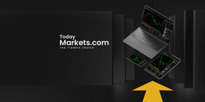 Untitled - 2024-02-28T171258.532