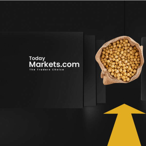 Untitled - 2024-02-28T171347.648