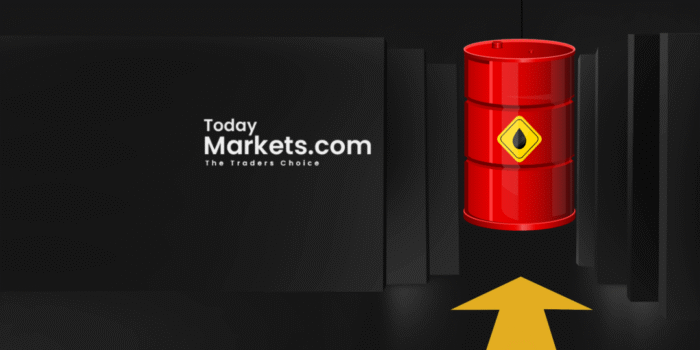 Untitled - 2024-02-28T172216.864