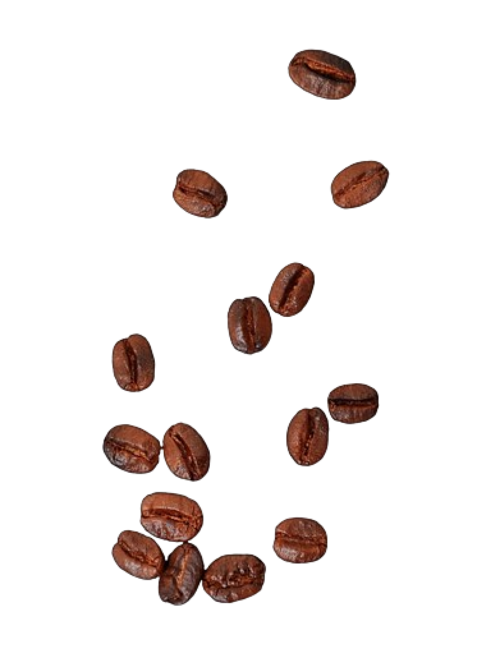 37-372726_png-coffee-beans-falling-clip-art-black-and-removebg-preview